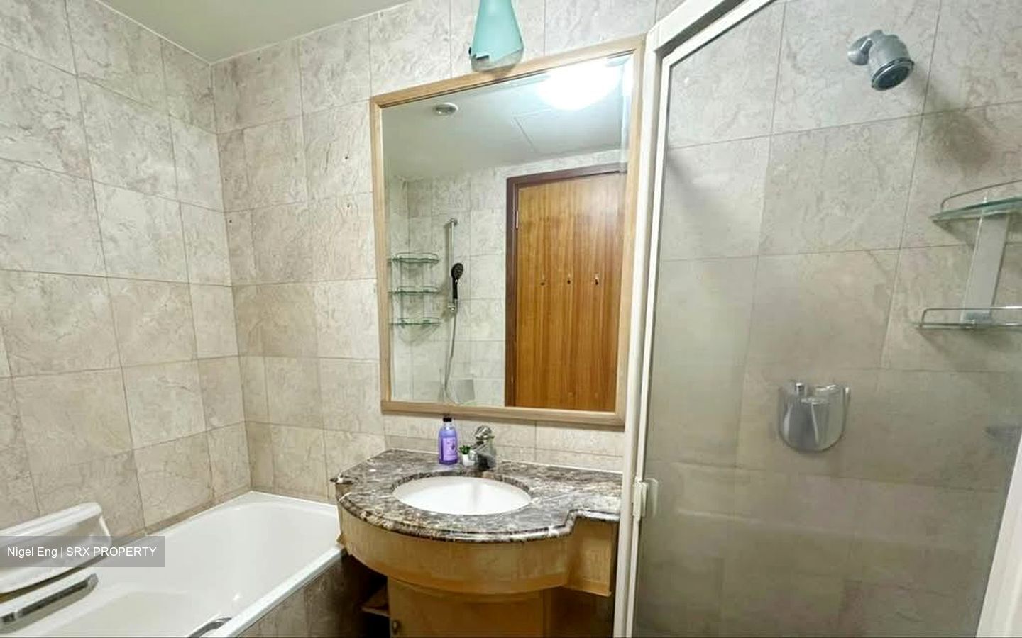 Tanglin View (D3), Condominium #547691161